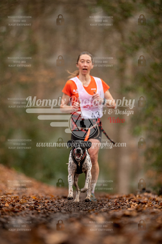 SPA_2023_DIM_CCL-88 | PayLife