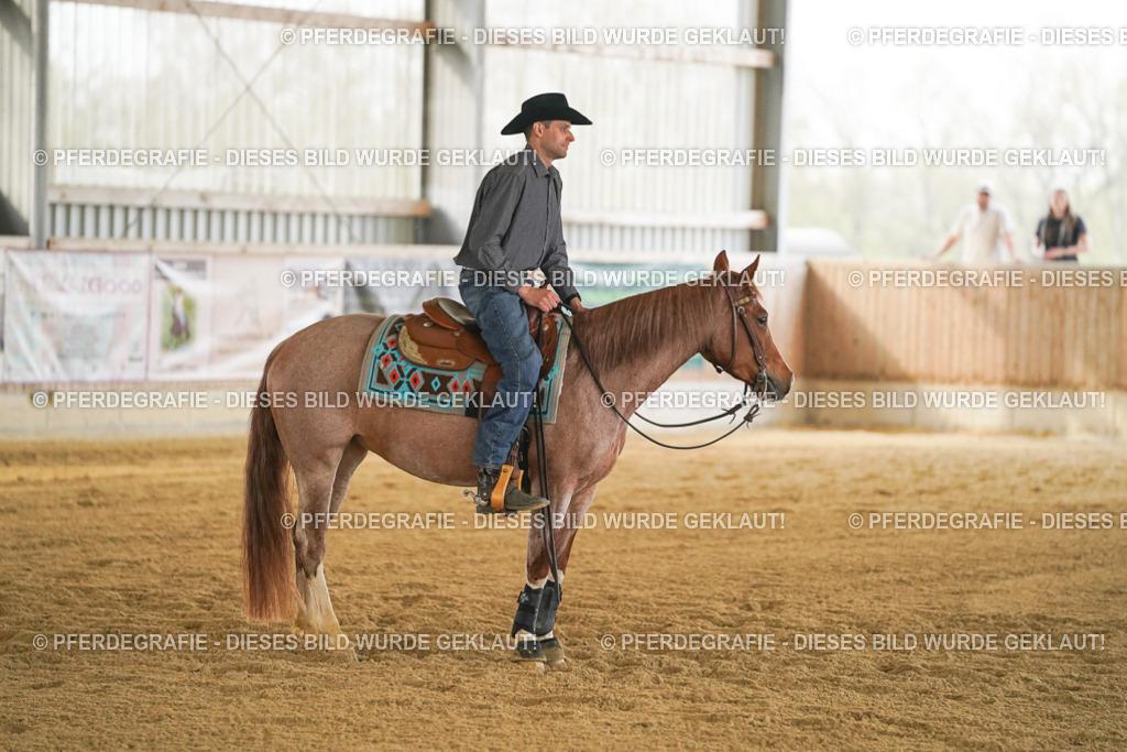 DSC08214 | Pferdegrafie