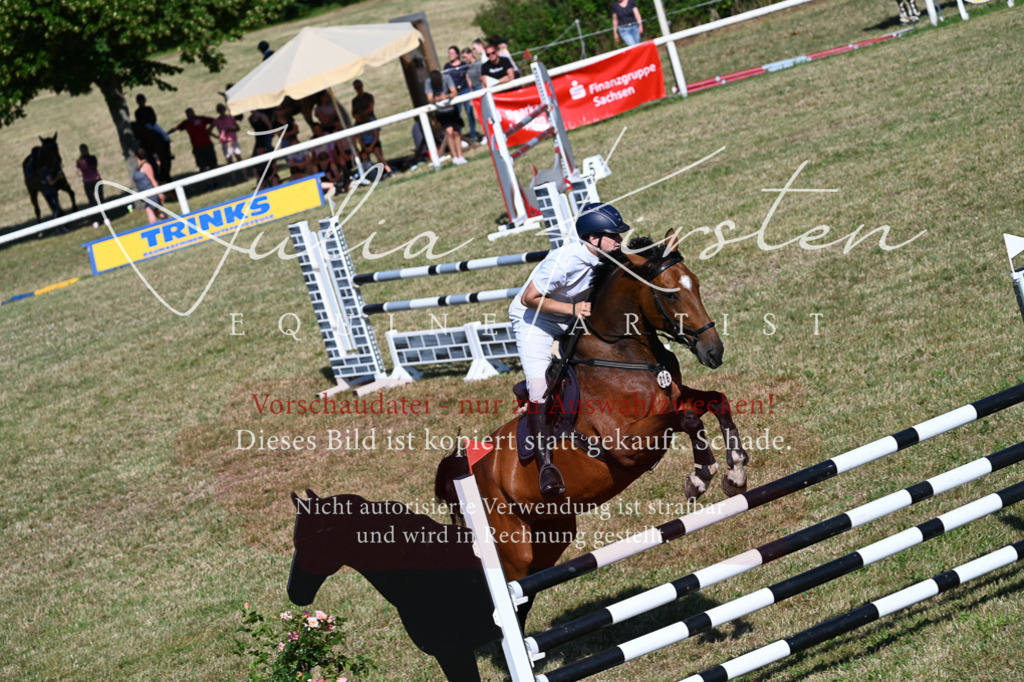 DSC_2171 | Pferde- und Turnierfotografie in Westsachsen. Pferdeportraits, Auftragszeichnungen und intuitive Kunst.