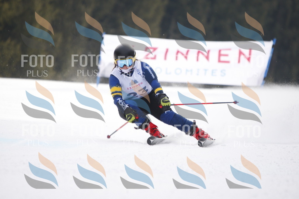 D4909 | holidayphoto