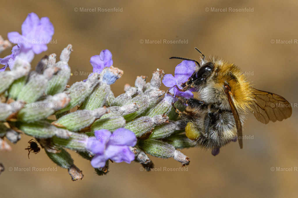 _DSC8138 | foto-rosenfeld