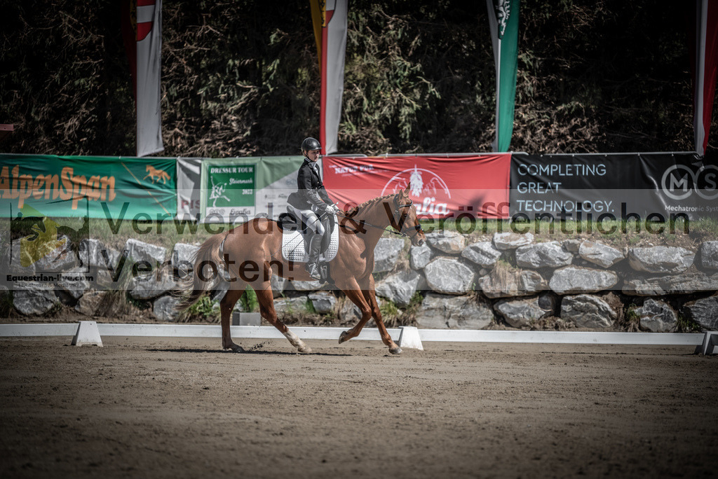 DSC_0053 | equestrian-live-com