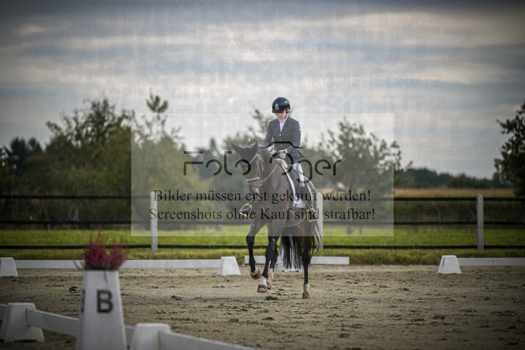 DOS_1479 | Entdecke hochwertige Reitturnierfotos von Foto Oger. Professionell, emotional und authentisch – jetzt Lieblingsmomente im Shop bestellen.Deutschlandweite Turnierfotografie. - Realisiert mit Pictrs.com