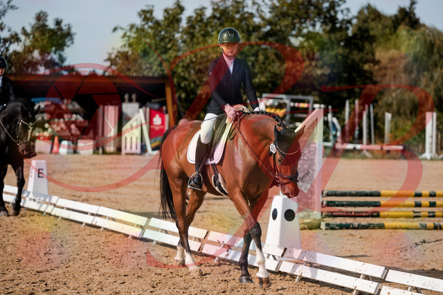 2026_10_03_Siefer-Hof_131543_Z63_77610017 | Professionelle Reitsport-, Turnier- und Eventfotografie von Robert Broda. Galerien mit ausgewählten und bearbeiteten Bildern direkt online ansehen und bestellen.