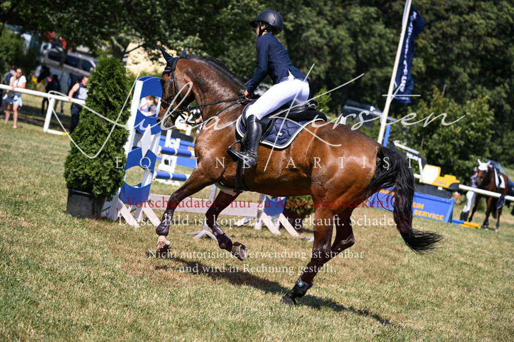 DSC_0127 | Pferde- und Turnierfotografie in Westsachsen. Pferdeportraits, Auftragszeichnungen und intuitive Kunst.