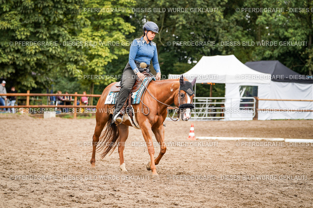 DSC04410 | Pferdegrafie