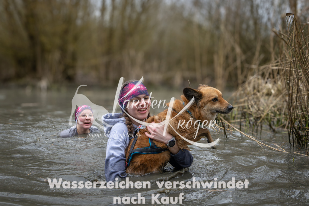 1054_ZZ93656 | kk-dogfotos