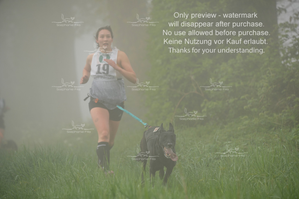 SA_GL2-104 | stephaniefillaphotographie - Realisiert mit Pictrs.com