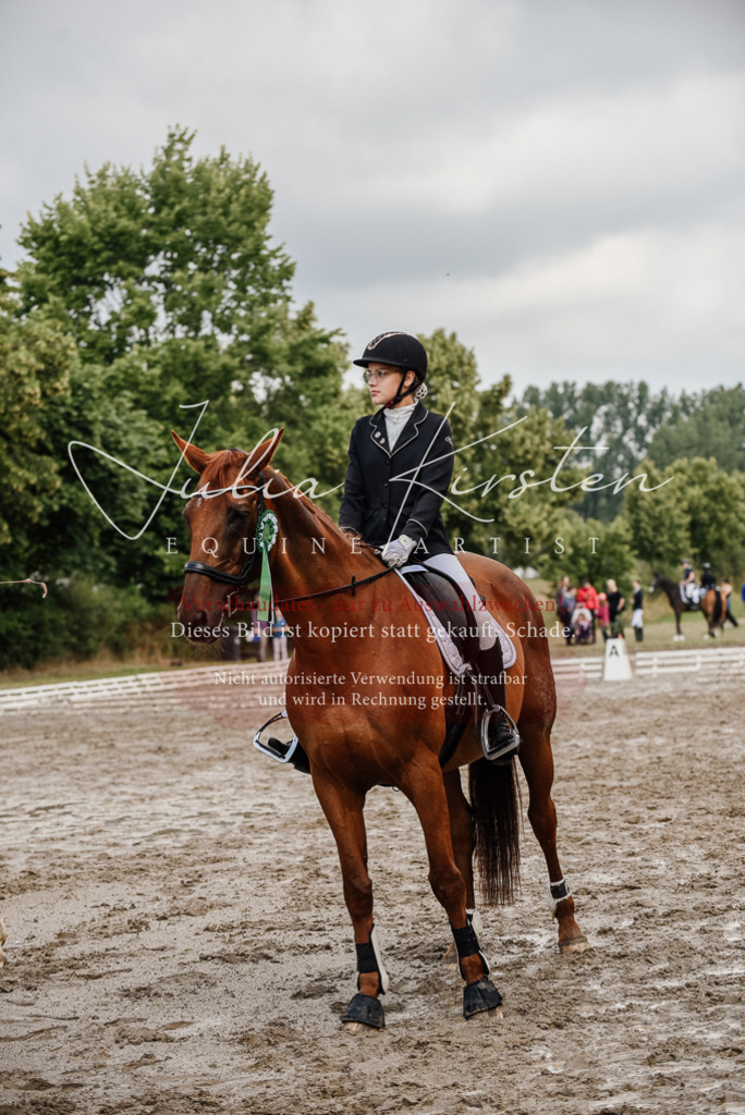 DSC_9377 | Pferde- und Turnierfotografie in Westsachsen. Pferdeportraits, Auftragszeichnungen und intuitive Kunst.