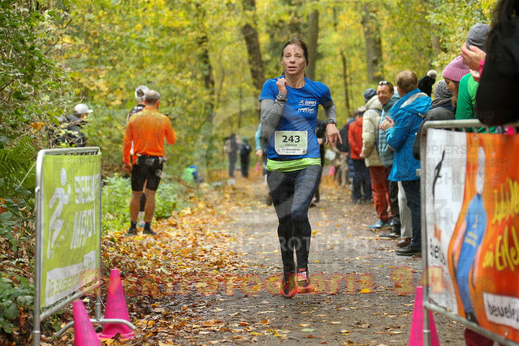 251026_1233_EX1_0634 | Sportfotografie im Rhein-Sieg Kreis, Köln, Bonn, NRW, Rheinland Pfalz, Hessen, etc. Unser Tätigkeitsfeld umfasst den Laufsport vom Volkslauf über den Marathon, Duathlon, Triathon bis zum Ultralauf wie Kölnpfad Ultra oder Schindertrail.