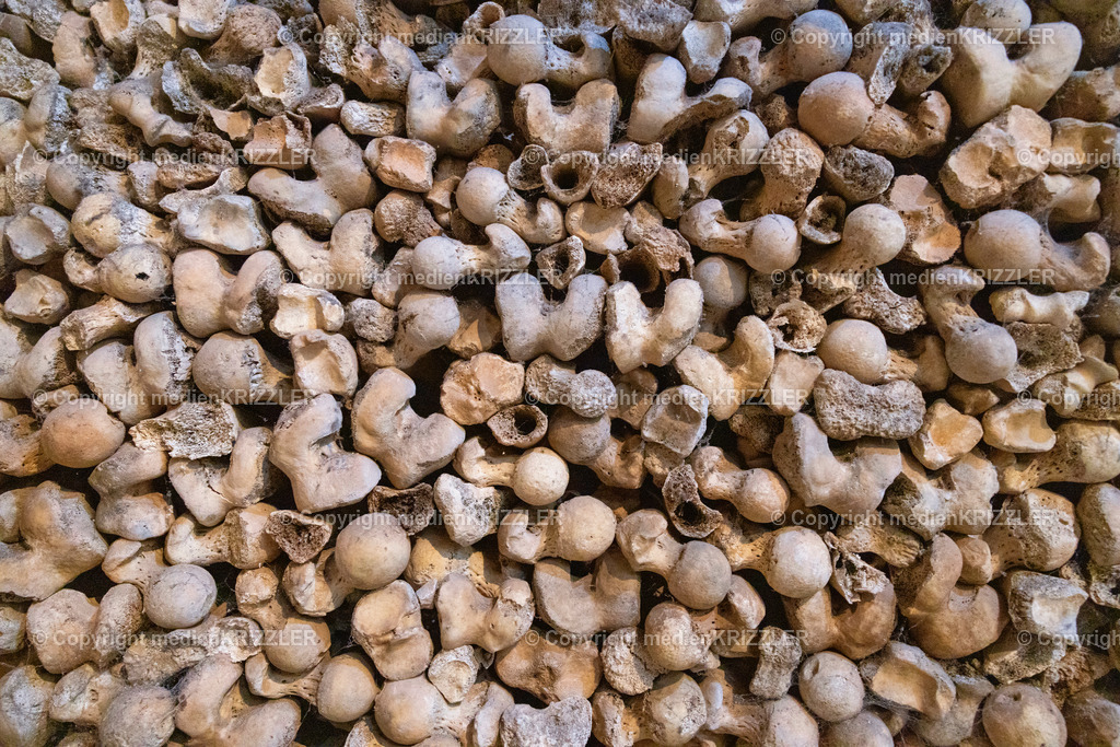 _J3A8634 | medienkrizzler - Realisiert mit Pictrs.com