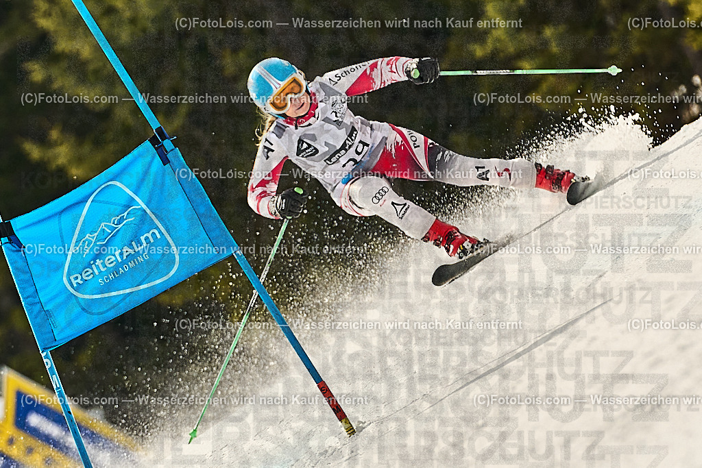 _WWO3715_MASTERS-WM_Reiteralm_CD-SG_HIRSCHHOFER Ingrid | FISWORLD CHAMPIONSHIPSMASTERS ALPINE SKIING, 23. – 28. MÄRZ 2026 - REITERALM | STMK | AUT.   Veranstaltet vom Masters-Referat des Deutschen Skiverbandes (DSV). Durchführende Organisation: WSV Pichl-Reiteralm, unterstütutzt von den Bergbahnen REITERALM bei Schladming und SKI AUSTRIA.                            Disziplinen:  Super-G, GiantSlalom, Slalom.                                                 Kategorien:  A (Herrn 30-59 Jahre), B (Herrn ab 60 Jahre), C (Damen 30-59 Jahre), D (Damen ab 60 Jahre).                Rennstrecken:   Gasselhöhe und Muldenliftpiste auf der Reiteralm.