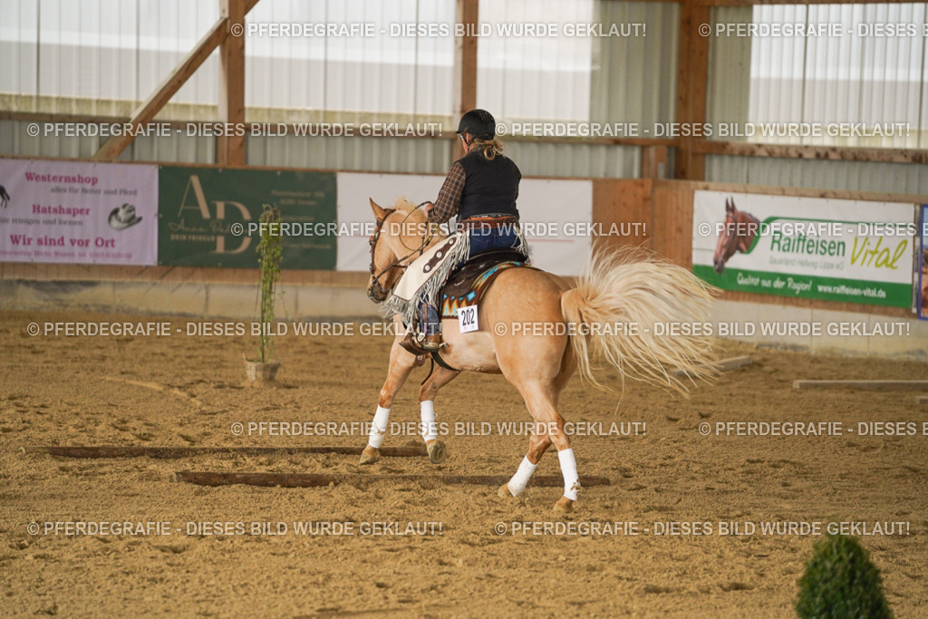 DSC04902 | Pferdegrafie