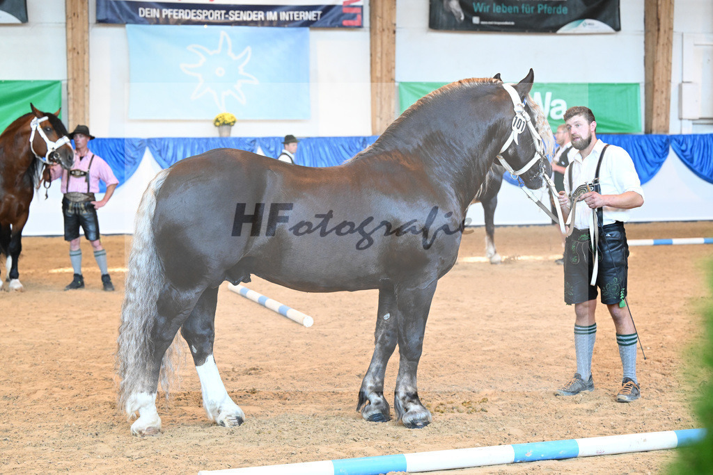 Kat-Nr. 101 Siox_Mayr_53220685 | hf-fotografie - Realisiert mit Pictrs.com