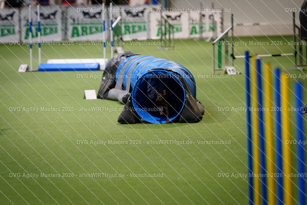 allesWIRTHgut_Tierfotografie-DVG_Agility_Masters_2026-08_17-7R507854 | Professionelle Tierfotografie in Mönchengladbach von Daniel Wirth (allesWIRTHgut). Liebevolle & natürliche Bilder von Hunden & Katzen für unvergessliche Erinnerungen.