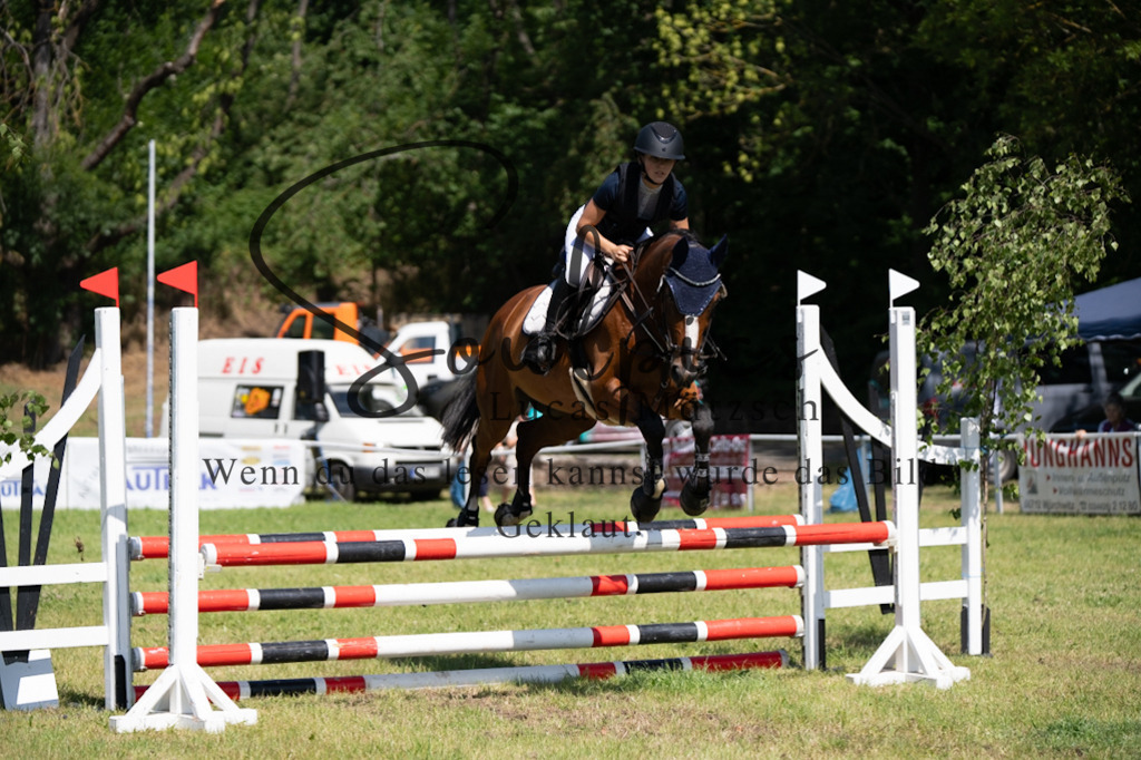 A7V05713 | Pferdefotograf