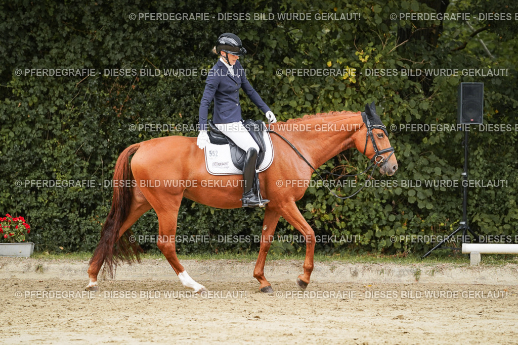 DSC00143 | Pferdegrafie