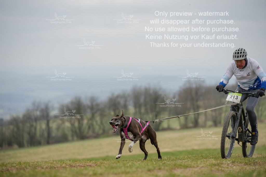 BikeSA-81 | stephaniefillaphotographie - Realisiert mit Pictrs.com