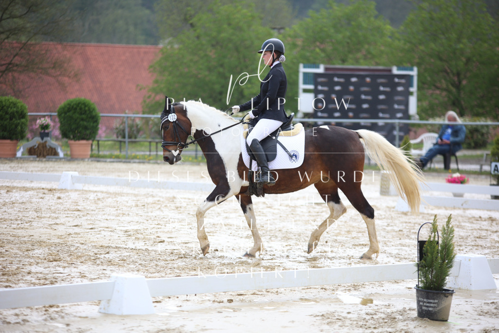 IMGT3451 | pl-fotografie