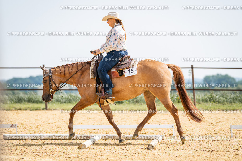 DSC09853 | Pferdegrafie