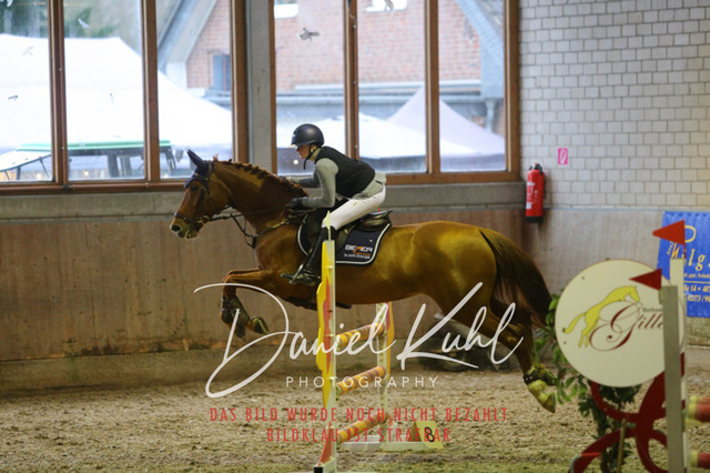 IMG_0777 | Deine Turnierfotos vom Reitturnier online kaufen: Dressur, Springen & Siegerehrung. Professionelle Pferdefotografie aus dem Rheinland – als Download & Print.Alternative: Turnierfotograf für den Pferdesport: Finde deine Fotos von Dressur- und Springturnier