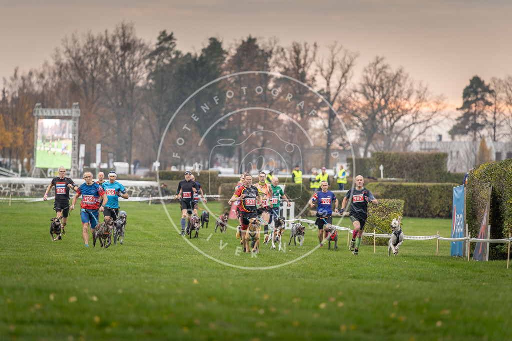 CaniXpix_DV3A6770 | Hundefotografie, Tierfotograf, Pfotenfotografie, Fotoshooting Hund, Hunde Portrait, Hundesport, Hundeportraits, Heideshooting, Hunde, Sportfotograf, Hundefotograf, Turnierhundsport, THS,  - Realisiert mit Pictrs.com