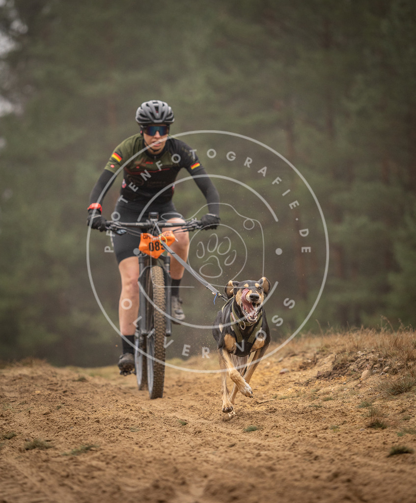 Pfotenfotografie_DV3A2837 | Hundefotografie, Tierfotograf, Pfotenfotografie, Fotoshooting Hund, Hunde Portrait, Hundesport, Hundeportraits, Heideshooting, Hunde, Sportfotograf, Hundefotograf, Turnierhundsport, THS,  - Realisiert mit Pictrs.com