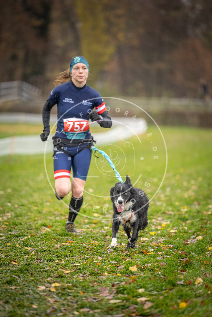 CaniXpix_DV3A9566 | Hundefotografie, Tierfotograf, Pfotenfotografie, Fotoshooting Hund, Hunde Portrait, Hundesport, Hundeportraits, Heideshooting, Hunde, Sportfotograf, Hundefotograf, Turnierhundsport, THS,  - Realisiert mit Pictrs.com