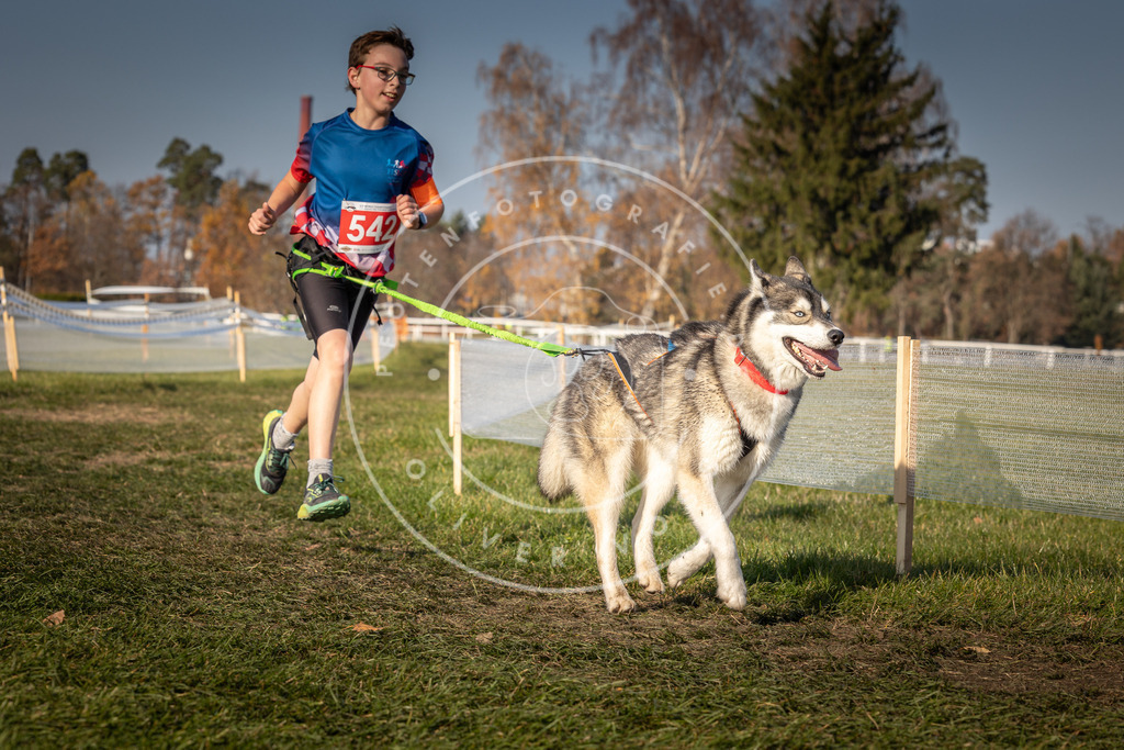 CaniXpix_0L8A9058 | Hundefotografie, Tierfotograf, Pfotenfotografie, Fotoshooting Hund, Hunde Portrait, Hundesport, Hundeportraits, Heideshooting, Hunde, Sportfotograf, Hundefotograf, Turnierhundsport, THS,  - Realisiert mit Pictrs.com