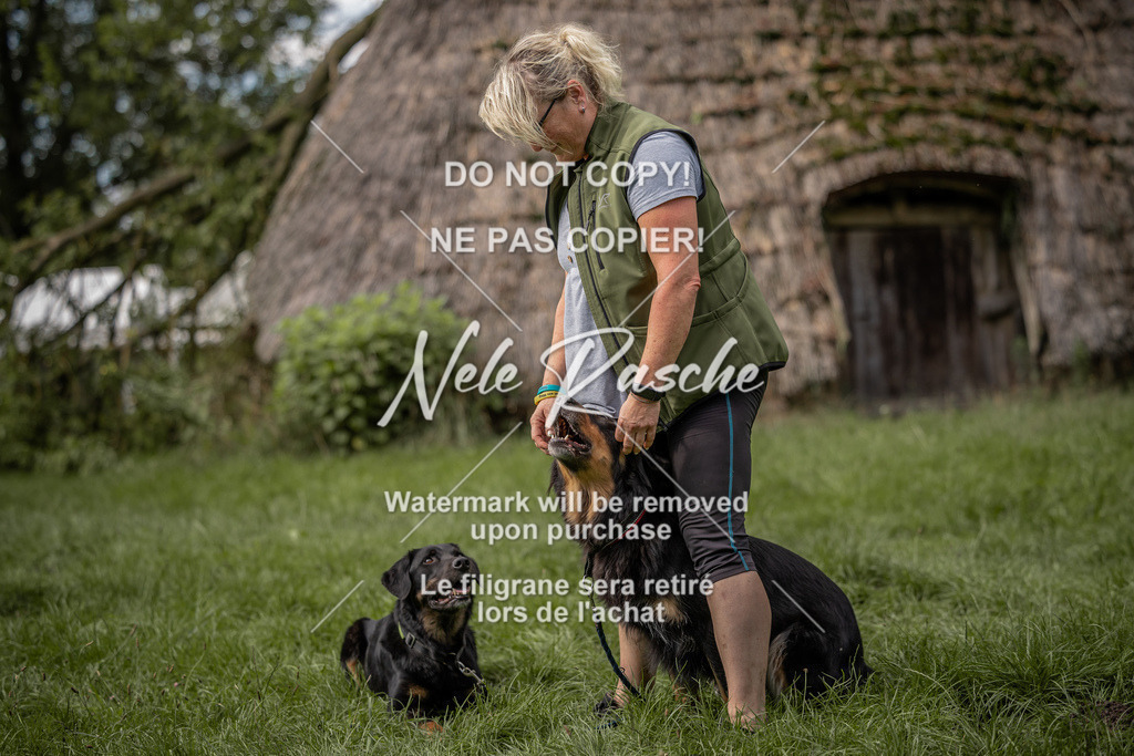 nelerasche_DoN_48 | nelerasche