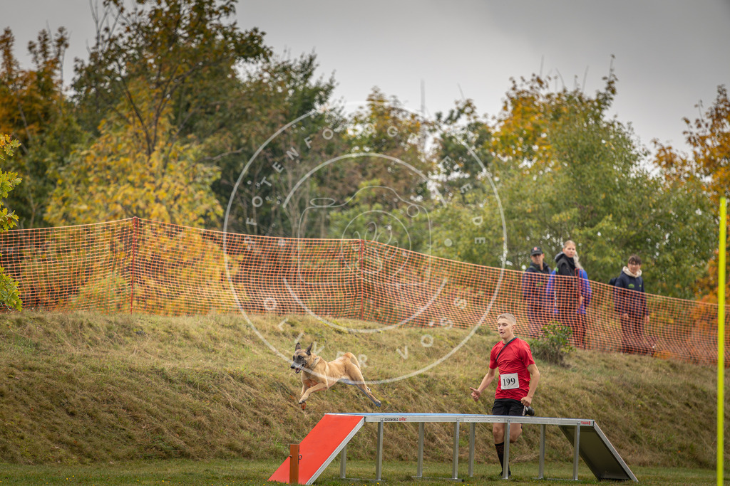 Pfotenfotografie_DV3A1507 | Hundefotografie, Tierfotograf, Pfotenfotografie, Fotoshooting Hund, Hunde Portrait, Hundesport, Hundeportraits, Heideshooting, Hunde, Sportfotograf, Hundefotograf, Turnierhundsport, THS,  - Realisiert mit Pictrs.com