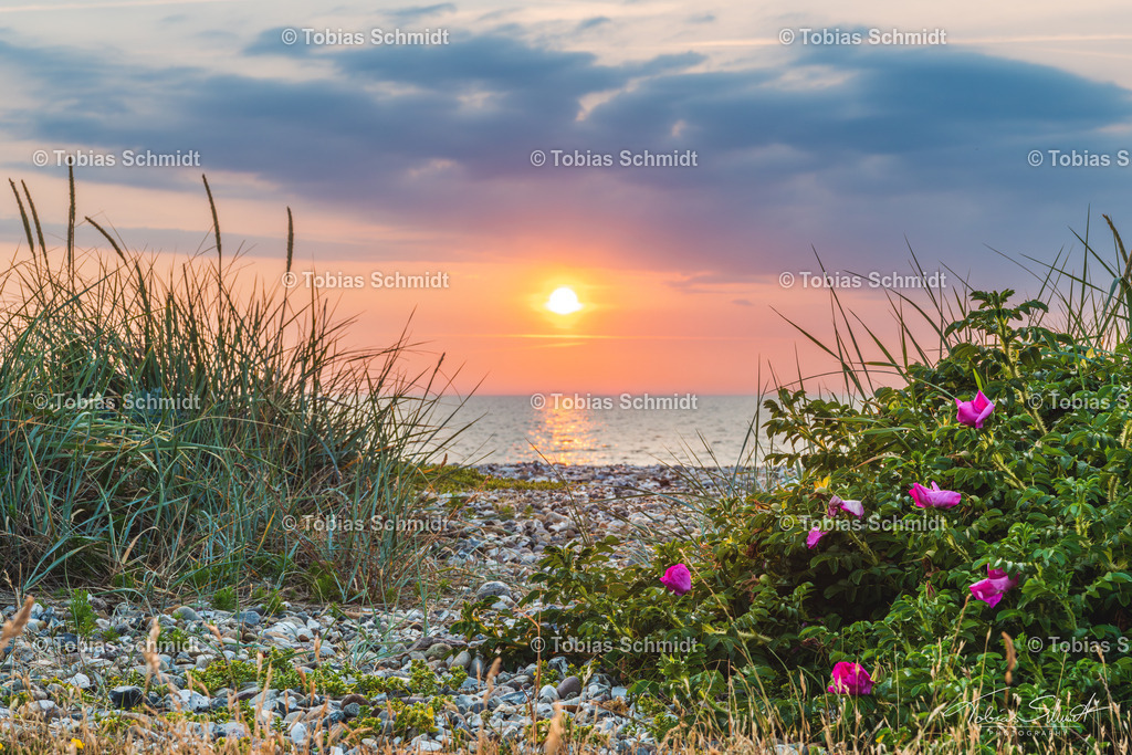 Fehmarn__DSC1504-Verbessert-RR | Fotoprodukte, Kalender und Wanddeko direkt vom Fotografen auf Fehmarn. Ob Wandbild auf Alu-Dibond, hinter Acrylglas oder auf Leinwand – hier können Sie Ihr Lieblingsbild kaufen. - Realisiert mit Pictrs.com