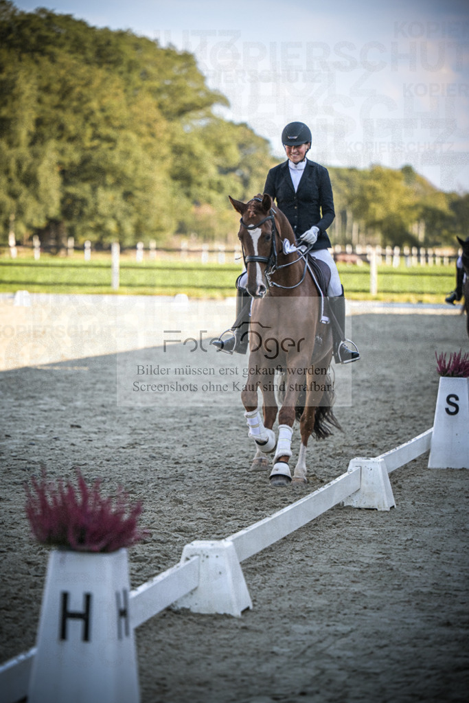 DOS_0125 | Entdecke hochwertige Reitturnierfotos von Foto Oger. Professionell, emotional und authentisch – jetzt Lieblingsmomente im Shop bestellen.Deutschlandweite Turnierfotografie. - Realisiert mit Pictrs.com