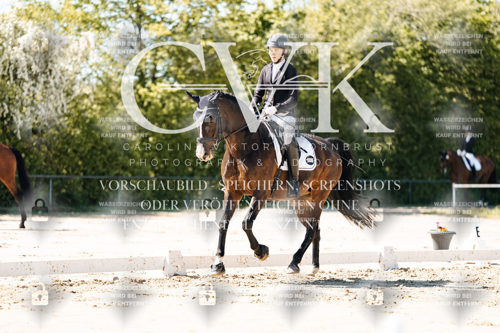 CK905080 | Turnierfotografie Pferdefotografie Trier Rheinland-Pfalz Pferdesport Reitsport Tierfotografie Sportfotografie Pferdevideo Pferdevideografie Equestrianvideography equestrianphotography  - Realisiert mit Pictrs.com