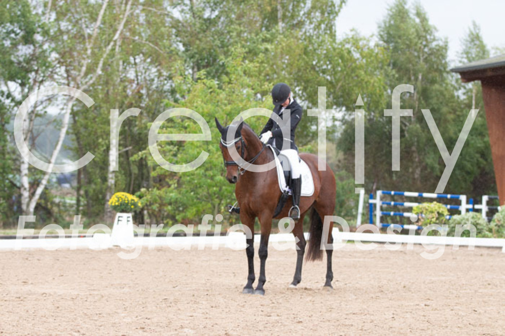 IMG_7199 | Creatify Fotografie