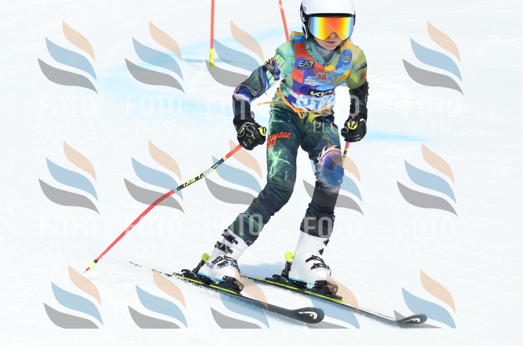 _ELE2421 | holidayphoto