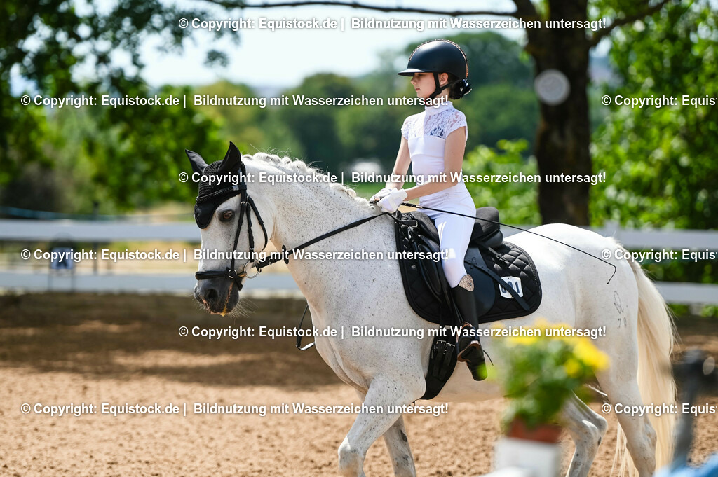20230715_09_Dressur-WB_0056 | equistock