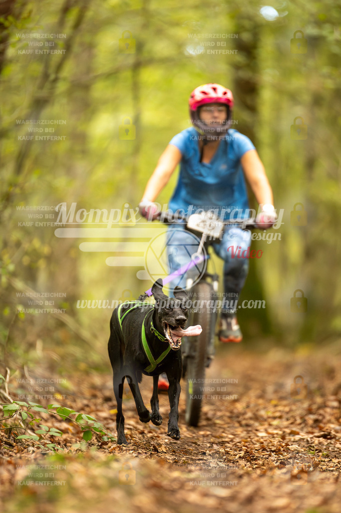 TSB_2023_E1_Bike-33 | PayLife