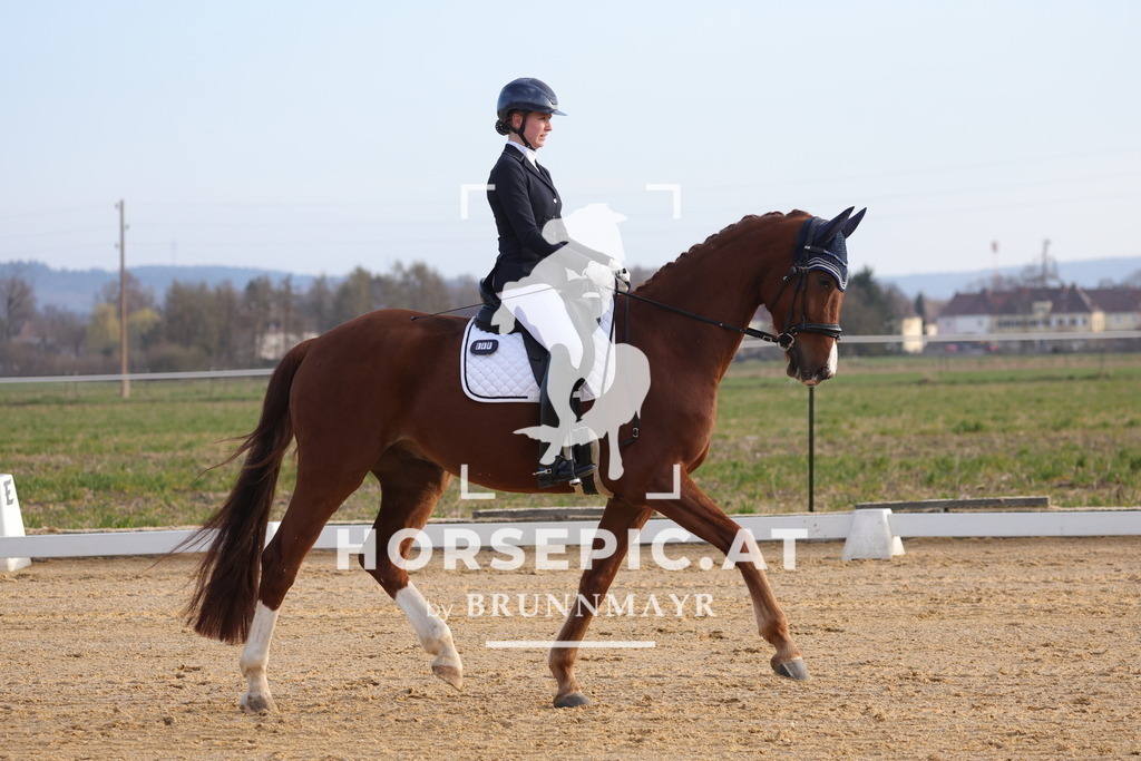 0P6A5924 | Willkommen bei Brunnmayr - Design & Fotografie – Ihrem Spezialisten für Reitturniere und Pferdeveranstaltungen in Oberösterreich, Salzburg und Bayern! Seit über 17 Jahren sind wir leidenschaftlich dabei.