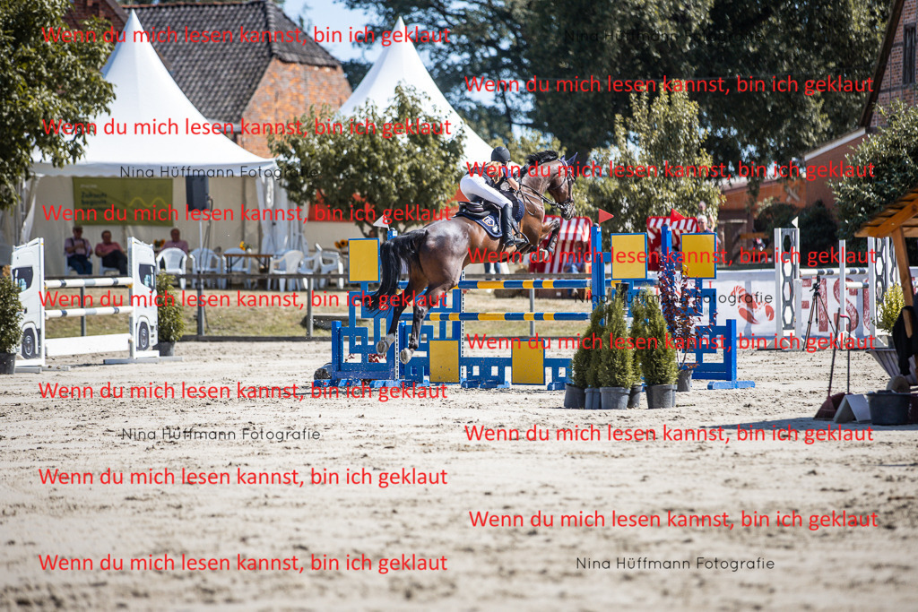BK1A6698 | Turnierbilder Turnierfotos Nina Hüffmann Turnierfotografie Pferdefotografie Tierzeichnung Haustierzeichnung Pferdezeichnung Hundezeichnung Videograf  - Realisiert mit Pictrs.com