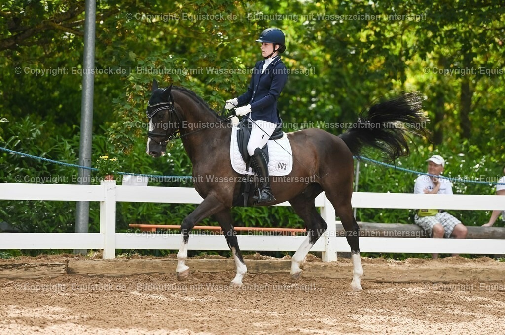20230715_07_Dressurpferdeprfg. Kl.L_0003 | equistock