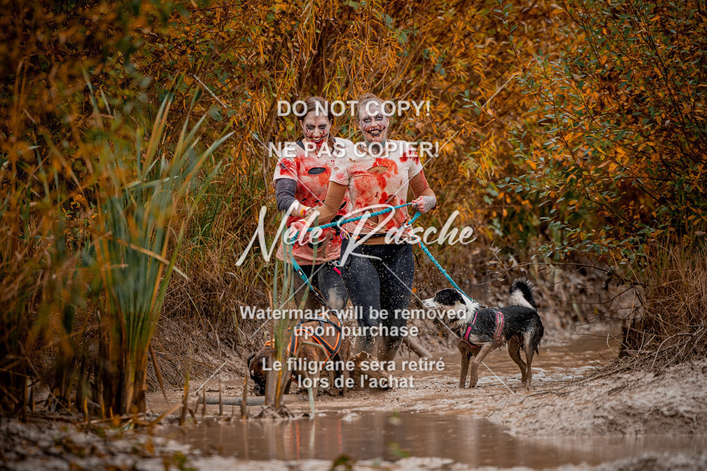 nelerasche_Creepy2025_Sa1330-1400_129 | nelerasche