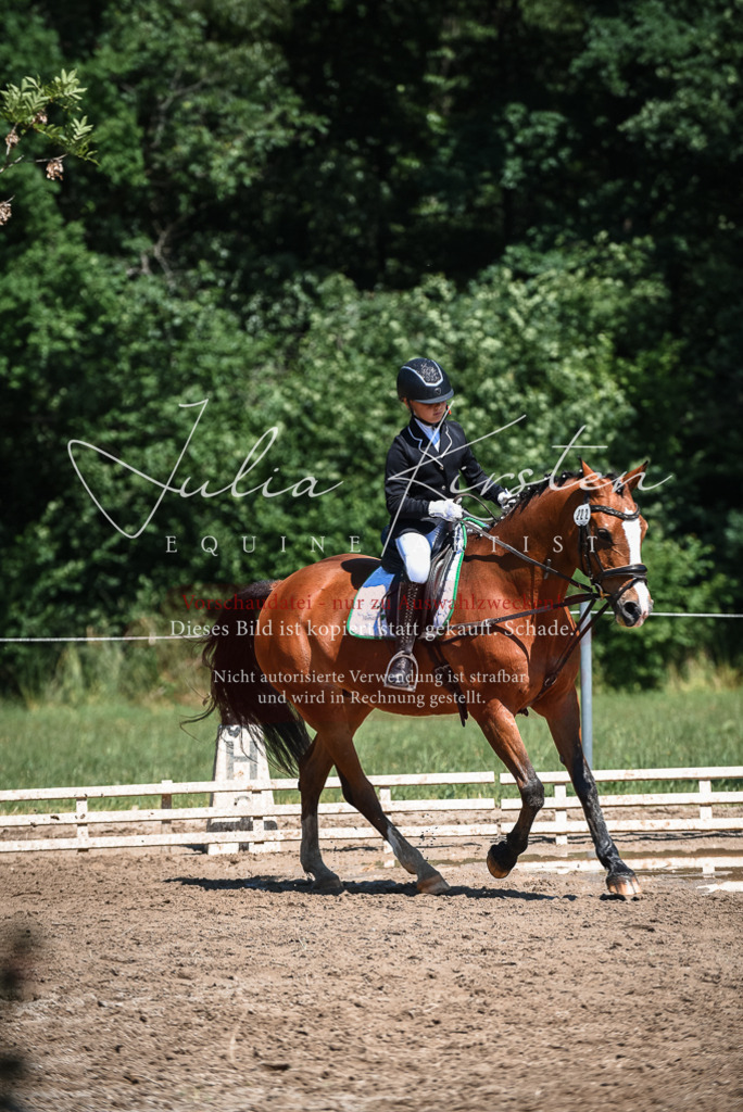 DSC_3439 | Pferde- und Turnierfotografie in Westsachsen. Pferdeportraits, Auftragszeichnungen und intuitive Kunst.