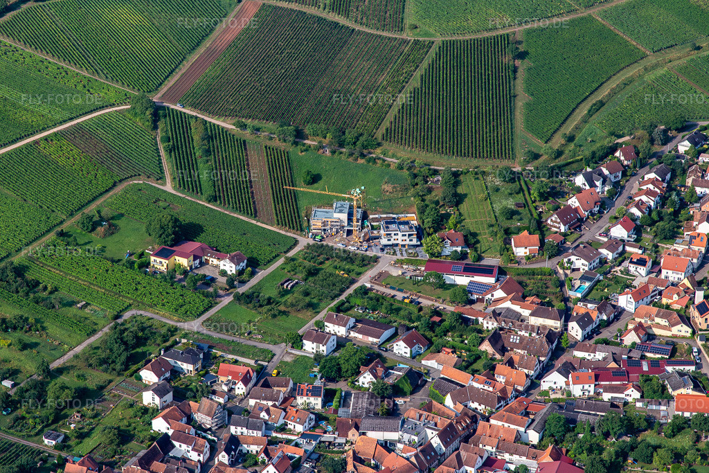 Luftbild: Am Gaisberg von Nordosten in Birkweiler im Bundesland Rheinland-Pfalz in Deutschland. Foto: IMG_142969.jpg vom 03.08.2024 durch Werner Riehm/FLY-FOTO.de