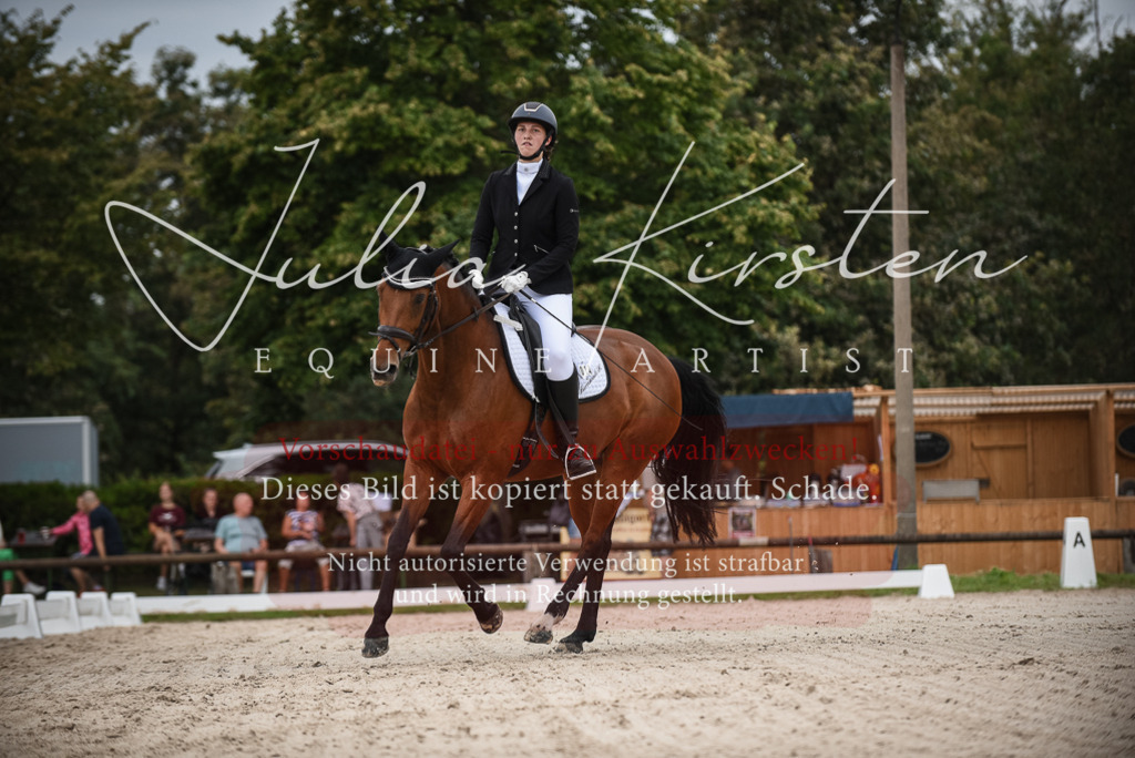 DSC_7981 | Pferde- und Turnierfotografie in Westsachsen. Pferdeportraits, Auftragszeichnungen und intuitive Kunst.