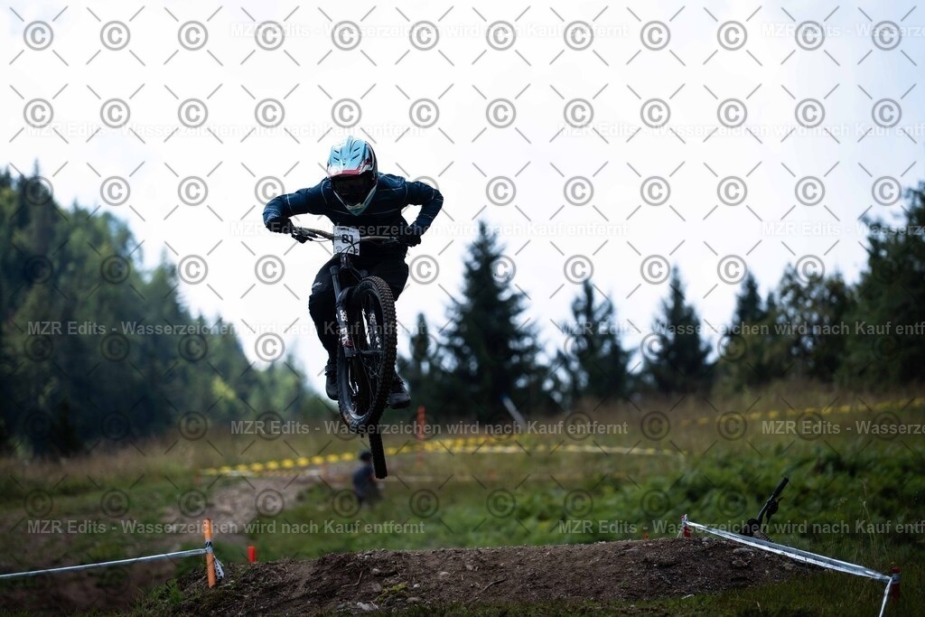 x-243 | mzredits - Realisiert mit Pictrs.com