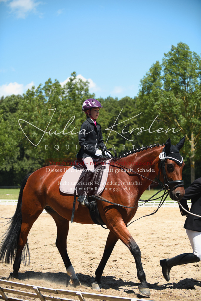 DSC_1782 | Pferde- und Turnierfotografie in Westsachsen. Pferdeportraits, Auftragszeichnungen und intuitive Kunst.