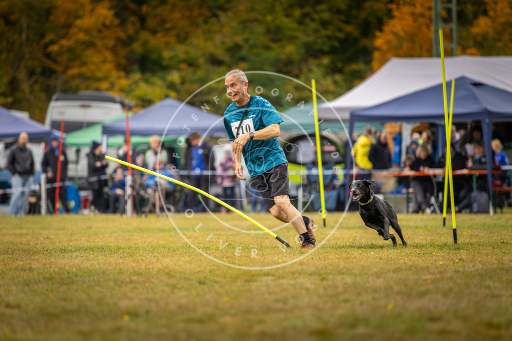 Pfotenfotografie_DV3A2360 | Hundefotografie, Tierfotograf, Pfotenfotografie, Fotoshooting Hund, Hunde Portrait, Hundesport, Hundeportraits, Heideshooting, Hunde, Sportfotograf, Hundefotograf, Turnierhundsport, THS,  - Realisiert mit Pictrs.com
