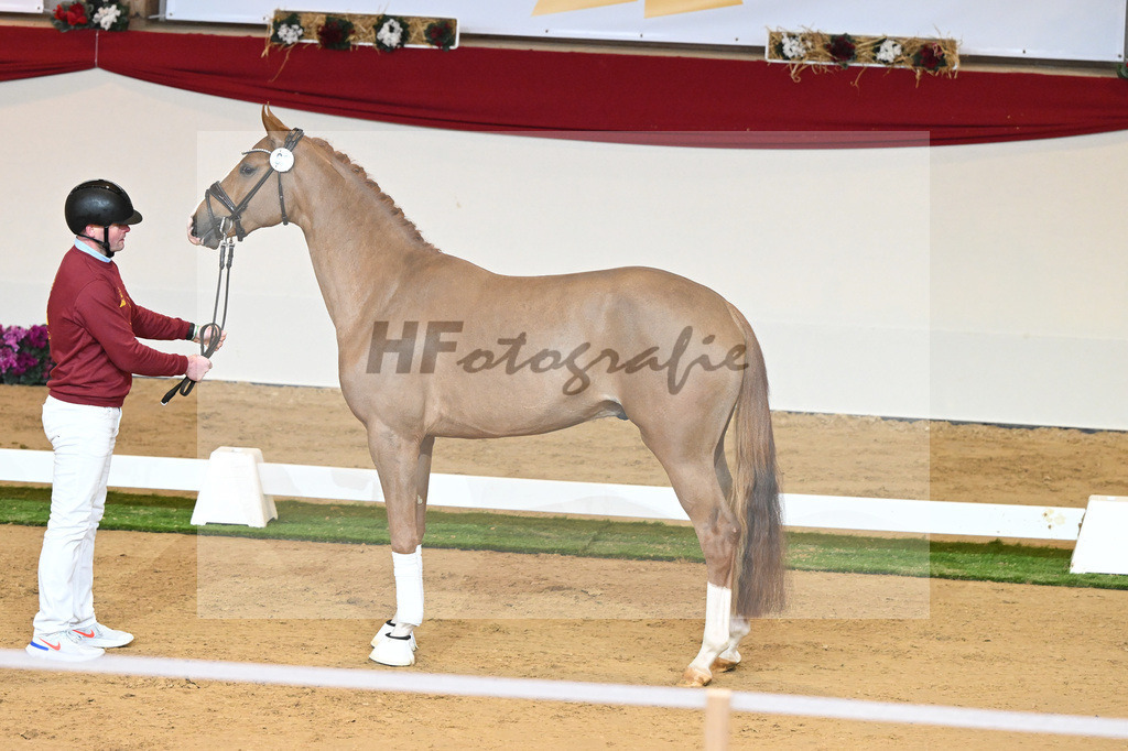 Kat-Nr. 60 Fuerst Samarant_Beckmann u Berger_1230299 | hf-fotografie - Realisiert mit Pictrs.com