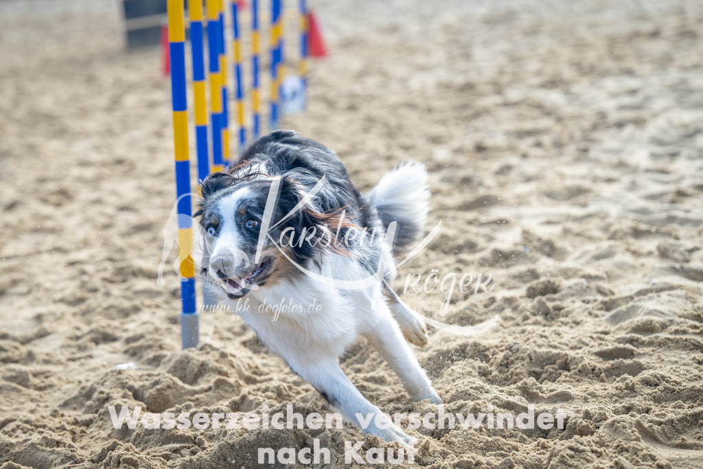 0958_ZZ93225 | kk-dogfotos